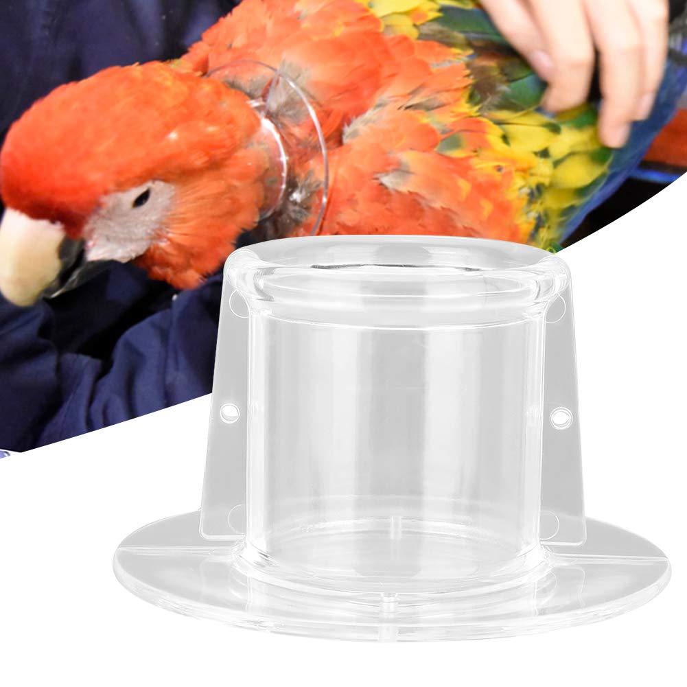 Parrot Anti-Biss Federpflücken Wundheilungs Halskrause Vogelhalskrause für Vogel(S) (L Aussendurchme