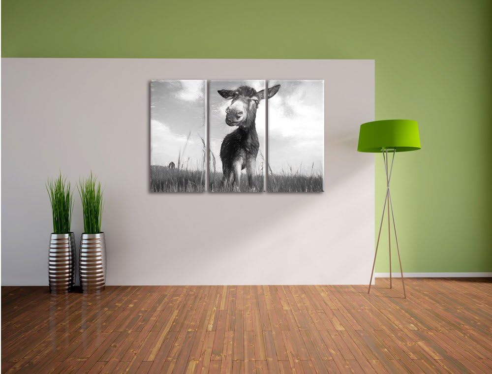 Pixxprint Esel im Feld / 3-Teilig/Gesamtmass 120cm Leinwandbild bespannt auf Holzrahmen/Wandbild Kun