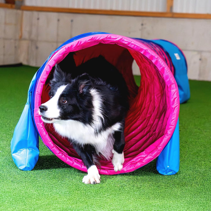Callieway® Dog Agility Tunnel Profi Hunde Tunnel Agility Gerät (Stützsandsäcke bereits inklusive) (F