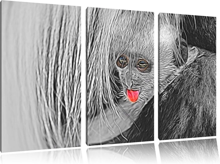 bildschönes Colobus-Äffchen schwarz/weiss Deluxe 3-Teiler Leinwandbild 120x80 Bild auf Leinwand, XXL