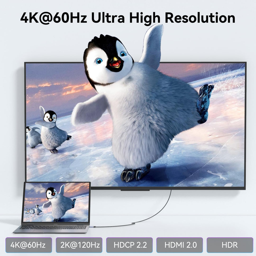 BENFEI HDMI auf USB C Kabel 1,8M 4K@60Hz, Unidirektionaler HDMI Computer zu USB-C Monitor Adapter fü