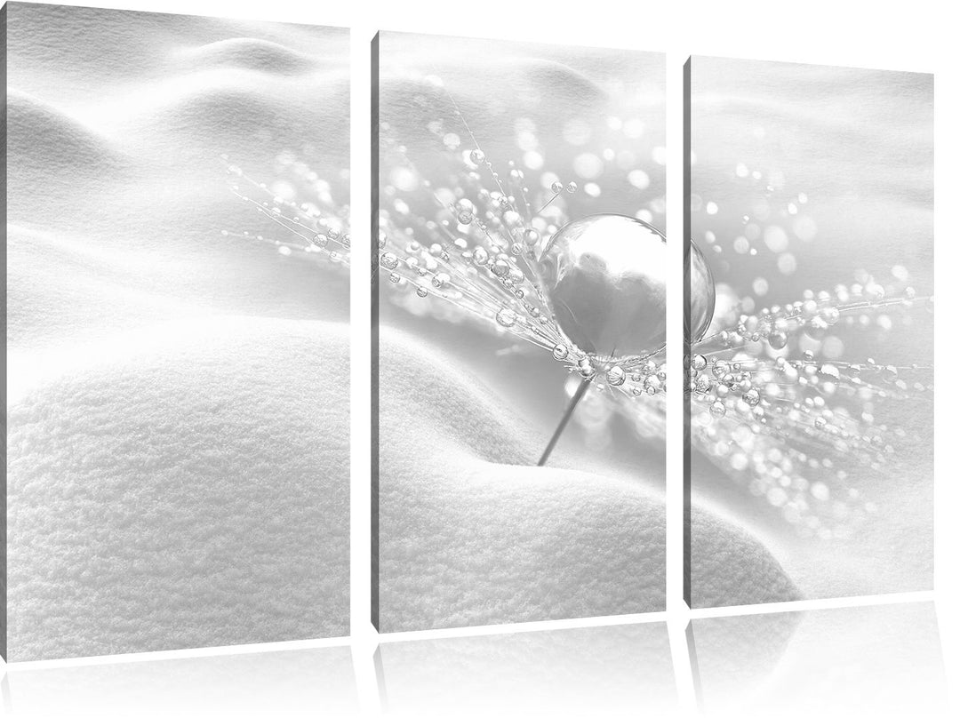 Pixxprint Tautropfen auf Einer Pusteblume im Schnee Kunst B&W 3-Teiler Leinwandbild 120x80 Bild auf