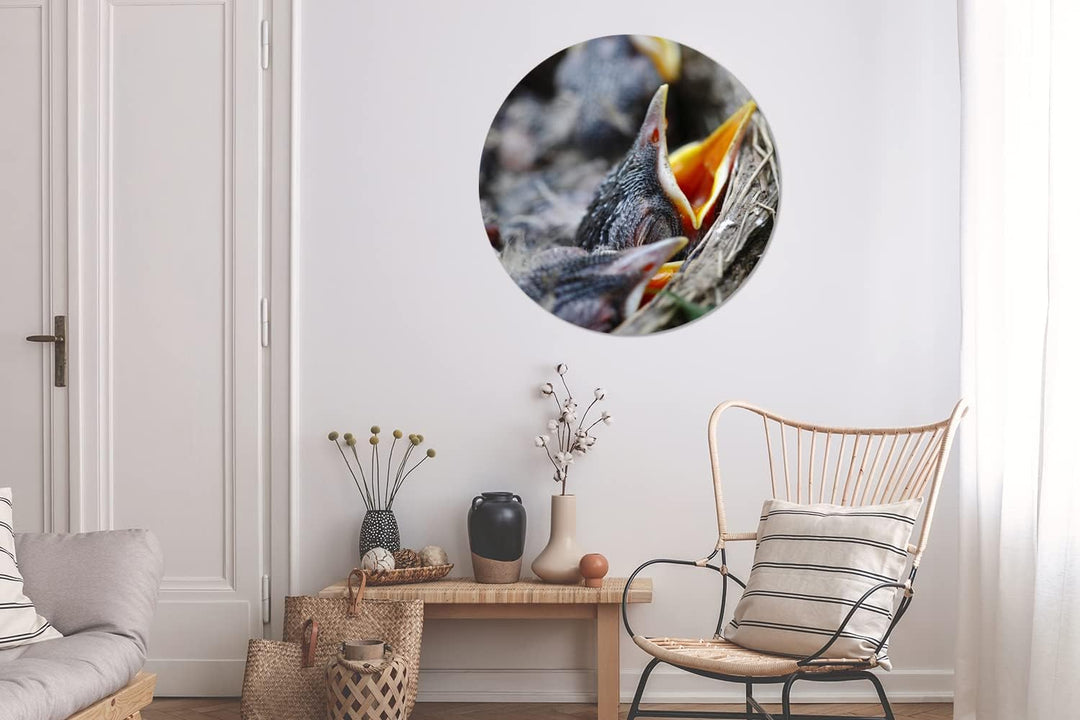 MuchoWow Wandbild Rund Wanddeko Deko Wohnzimmer Bilder 90x90 cm Junge - Robin - Essen, 90x90 cm
