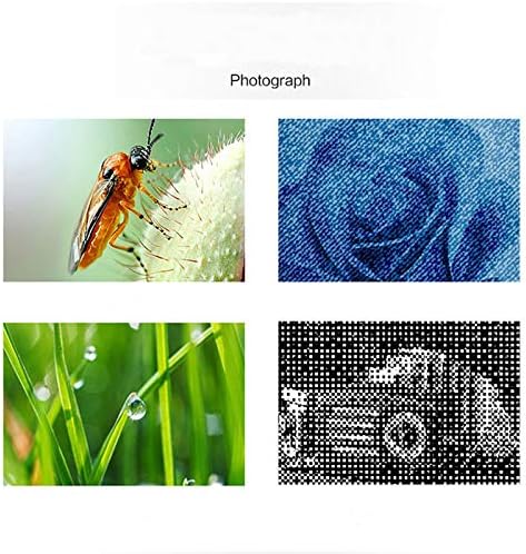 Meichoon Digitales Mikroskop, 3-in-1 USB Schnittstelle,1600 x Kamera,mit Flexiblem Ständer,Kompatibe