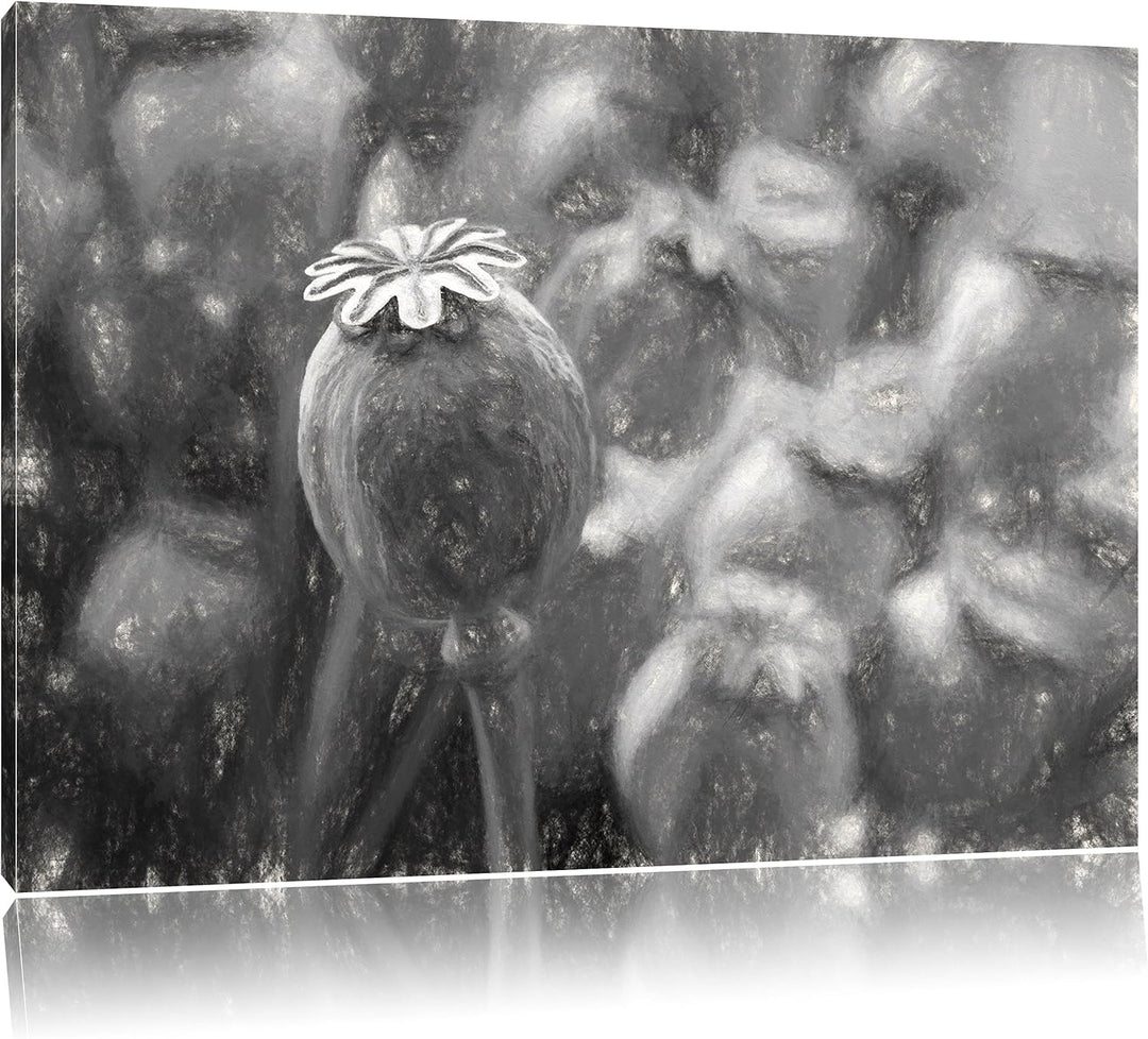 Pixxprint Mohnkapsel der Mohnblume Kunst als Leinwandbild/Grösse: 100x70 cm/Wandbild/Kunstdruck/fert