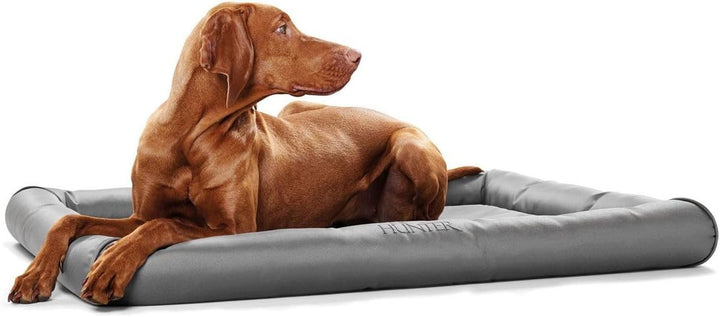 HUNTER Vermont Hundematte, Polyester, robust und schmutzabweisend, gepolstert, 90 x 60 cm, grau grau