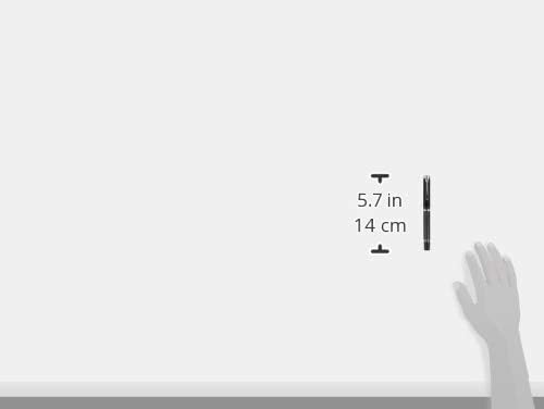 Pelikan Premium M805 Füllfederhalter, Feder F Plume schwarz/grau, schwarz/grau