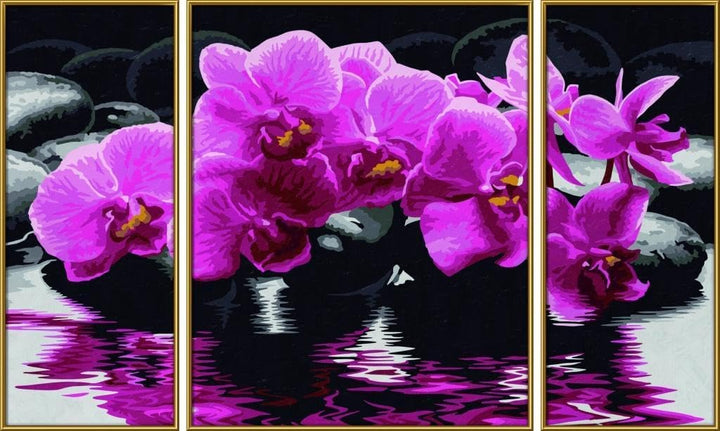 Schipper 609260603 Malen nach Zahlen, Orchideen - Bilder malen für Erwachsene, inklusive Pinsel und