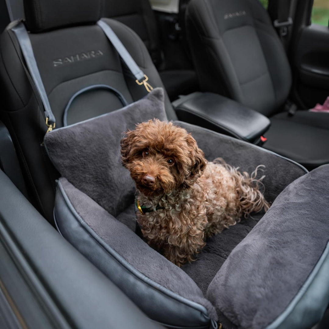 Noah &amp; Paw Hunde-Autositz-Tragetasche, kleiner Hunde-Autositz für kleine, mittelgrosse Haustiere mit
