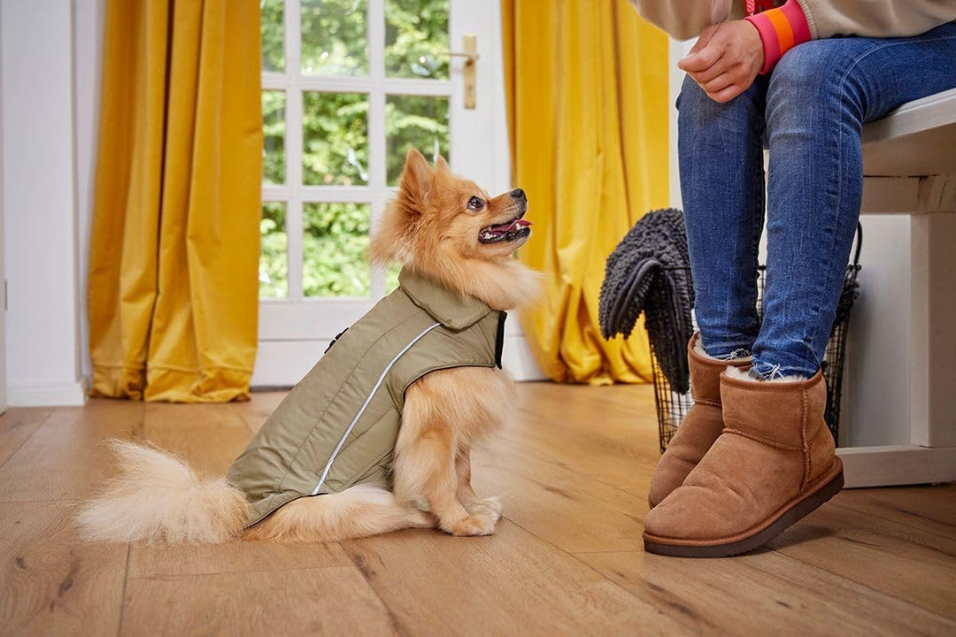 Wolters Skijacke Dogz Wear, Grösse:65 cm, Farbe:khakigrün 65 cm khakigrün, 65 cm khakigrün