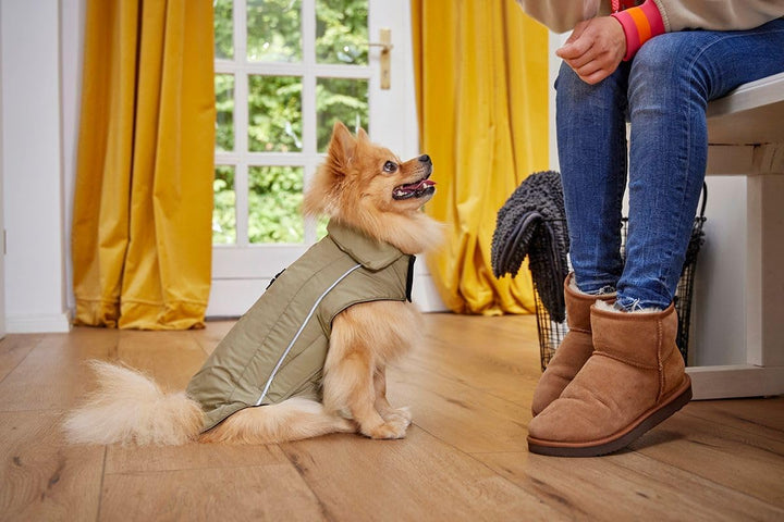 Wolters Skijacke Dogz Wear, Grösse:65 cm, Farbe:khakigrün 65 cm khakigrün, 65 cm khakigrün