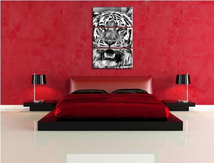 Pixxprint Tiger mit offenem Maul als Leinwandbild/Grösse: 3 Teilig (120x80) cm/Wandbild/Kunstdruck/f