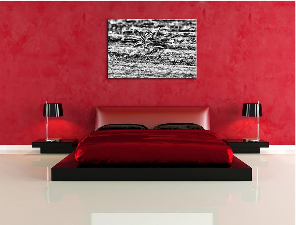 Pixxprint kleine Biene auf Holz / 100x70cm Leinwandbild bespannt auf Holzrahmen/Wandbild Kunstdruck