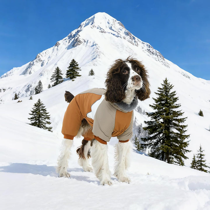 Kuoser Wasserdichter Hundemantel für Kleine Hunde - Wärmer, Winterfest Mit Geschirr, Moden Hundejack