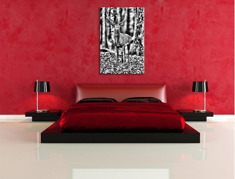 Pixxprint Monocrome, Schöner Hirsch im Wald, Format: 100x70 auf Leinwand, 100x70