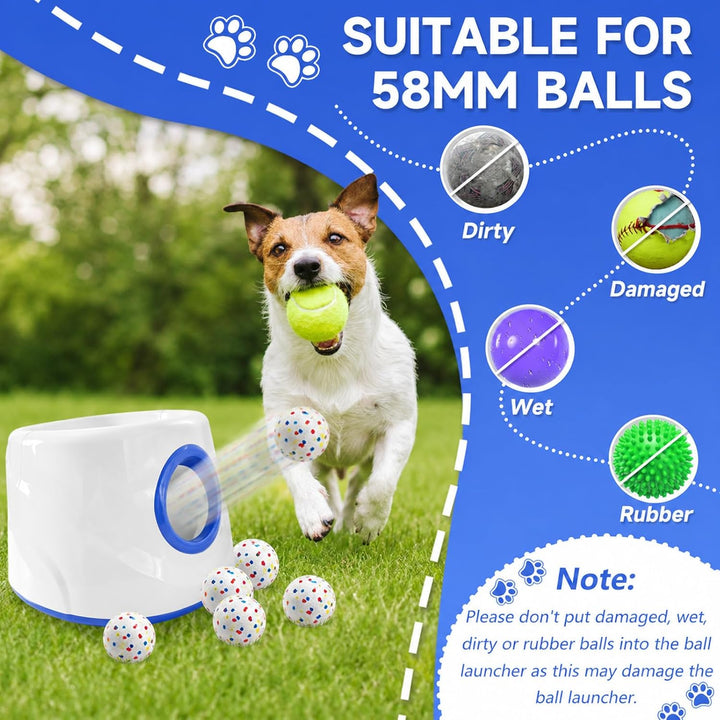Ballwurfmaschine für Hunde, Ballmaschine Hund mit 6 E-TPU Tennisbälle, Interaktives Hundespielzeug E