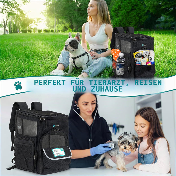 PetAmi Hunderucksack, von Fluggesellschaften zugelassene Rucksäcke für kleine & grosse Katzen, Haust