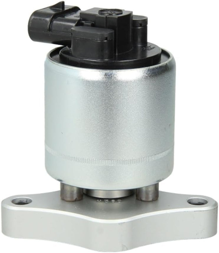 Delphi EG10003-12B1 Agr-Ventil