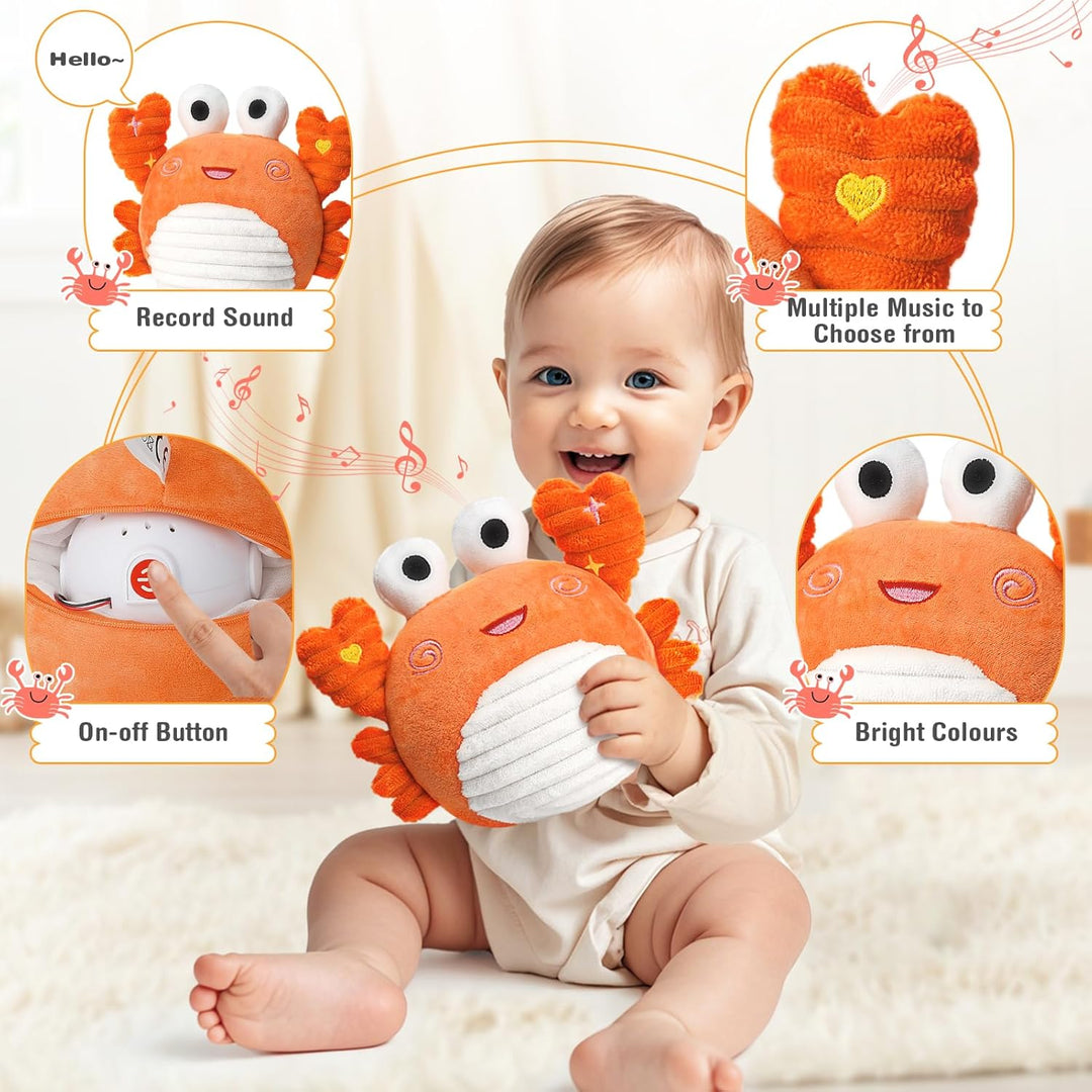 Vanplay Krabbe Baby Spielzeug, Baby Spielzeug 6 Monate Musikalische Krabbelspielzeug Geschenk 1 Jahr