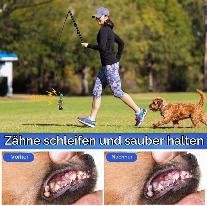 Reizangel Hunde, Profi Reizangel für Kleine Hunde Grosse Hund Längenverstellbare mit Ersatzseil, Ant