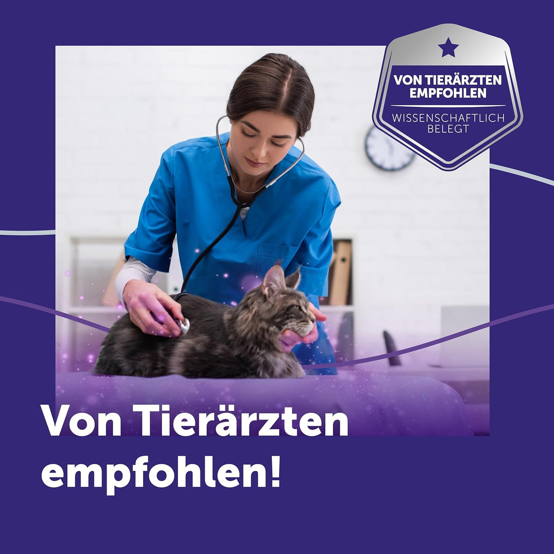 FELIWAY® Optimum Start-Set | Anti Stress Katze | Verdampfer für Steckdose & Nachfüllfkakon 48ml