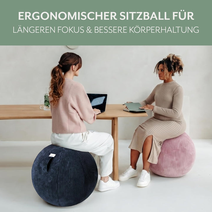 VLUV® BOL VLIP Sitzball Büro Ergonomisch [Atmungsaktiv mit Tragegriff und Wegrollschutz] Waschbarer