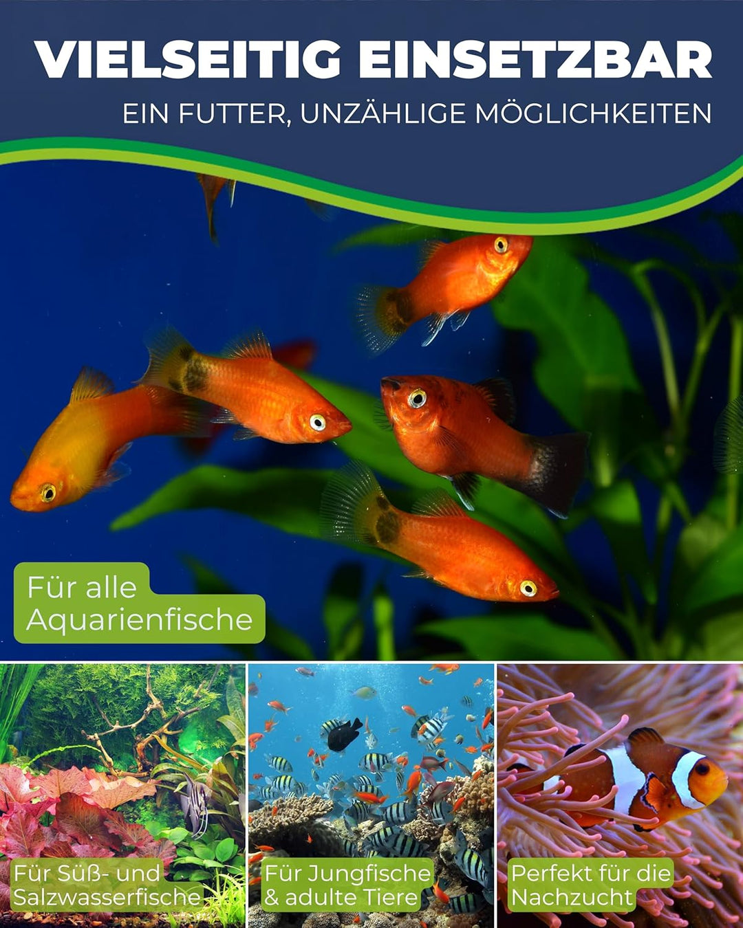 Hobby 21430 Artemia Eier 150 ml