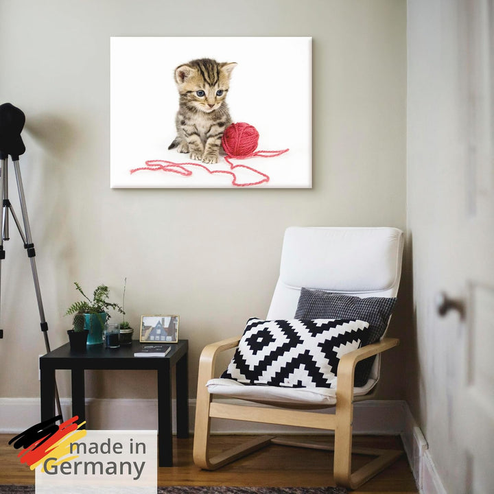 ARTland Leinwandbilder Wandbild Bild auf Leinwand 80x60 cm Katze Tiere Babykatze Haustiere Süss Mädc