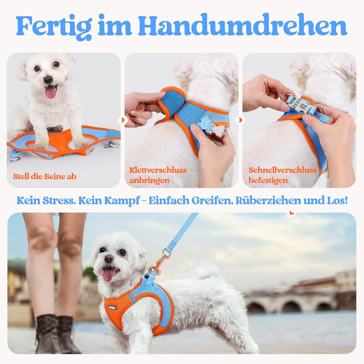 rabbitgoo Hundegeschirr Kleine Hunde mit Leine, Step-in Welpengeschirr Weich Mesh für Spaziergänge,