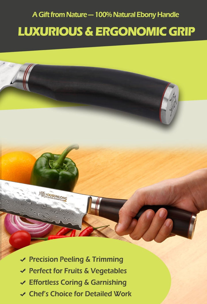 YOUSUNLONG Kochmesser 10 Zoll Pro Gyuto Japanisch Gehämmerter Damaststahl Natur Bleiholzgriff mit Le