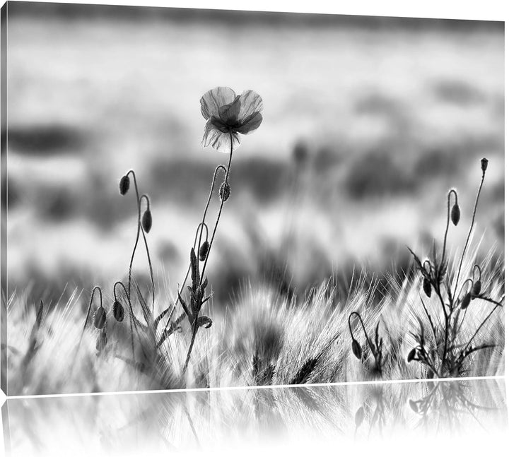 Pixxprint Monocrome, rote Blumen im Feld Tulpen Gemälde, Format: 100x70 auf Leinwand, XXL riesige Bi