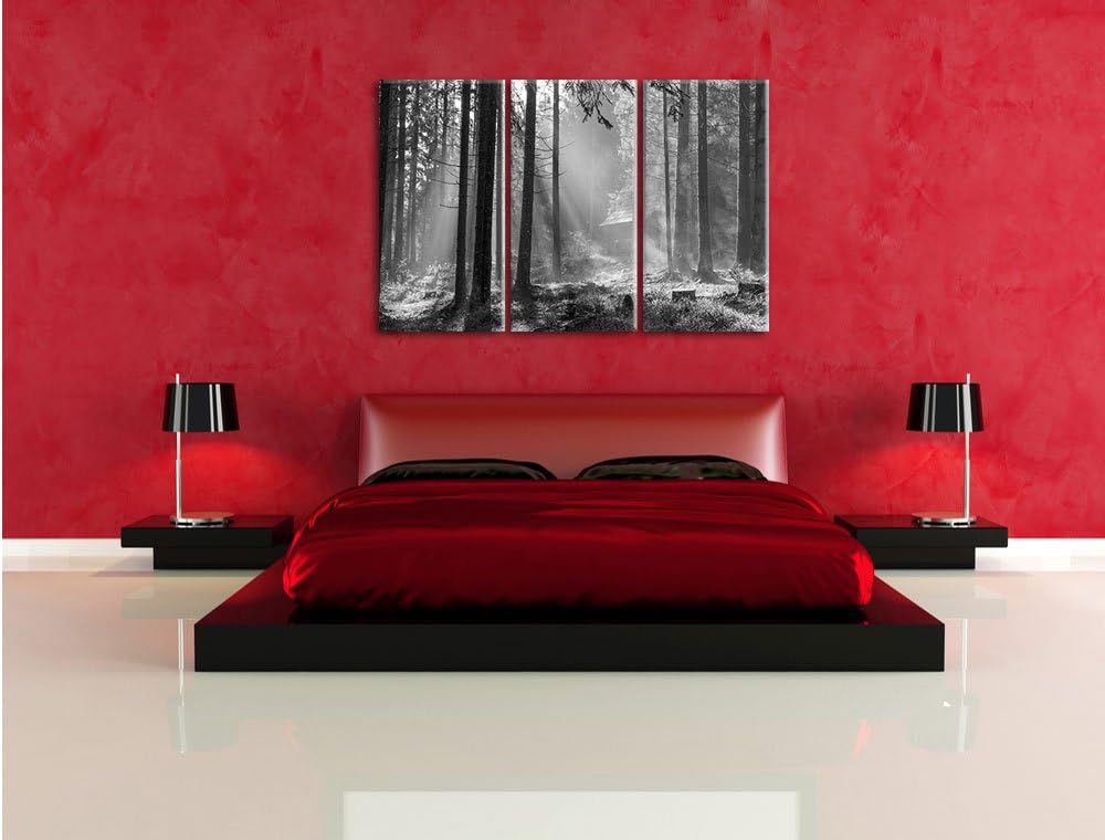 Pixxprint Häuschen im Wald mit Sonnenstrahlen schwarz/weiss 3-Teiler Leinwandbild 120x80 Bild auf Le