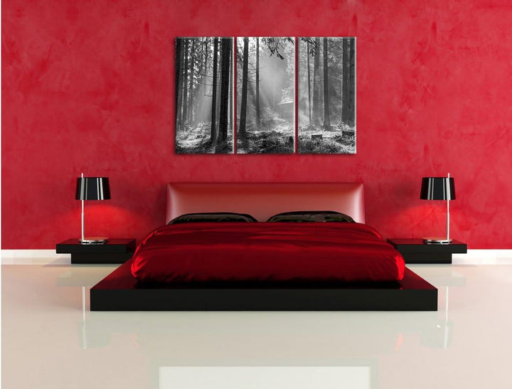 Pixxprint Häuschen im Wald mit Sonnenstrahlen schwarz/weiss 3-Teiler Leinwandbild 120x80 Bild auf Le