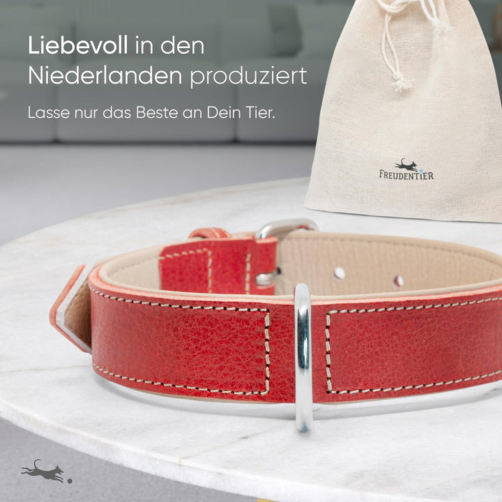 FREUDENTIER® Hundehalsband Leder, gefüttert & komfortabel, hochwertiges breites Lederhalsband aus Vo