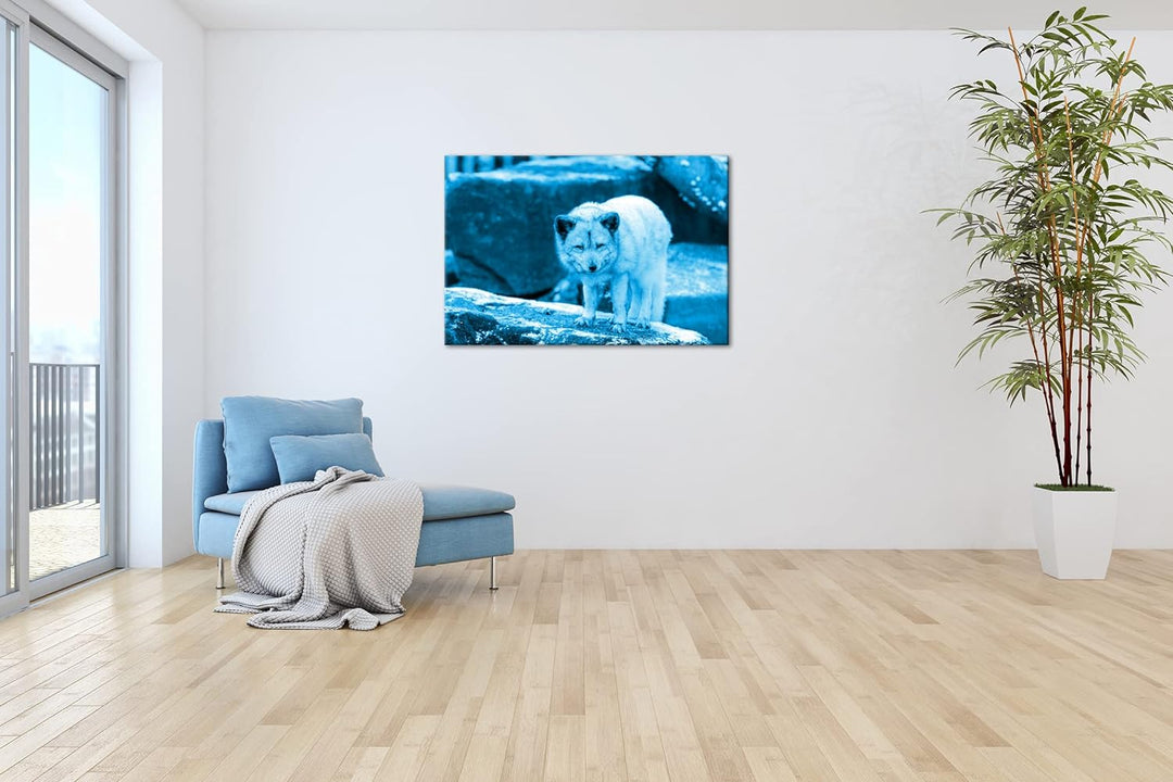 deyoli Atemberaubender Polarfuchs Format 80x60 Effekt: Monocrome Blau als Leinwandbild, Motiv fertig
