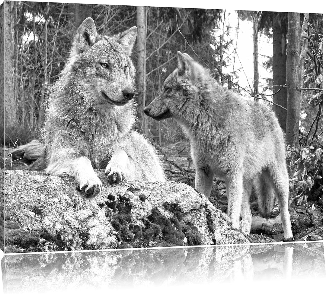 Wölfe im Wald Kunst B&W, Format: 100x70 auf Leinwand, XXL riesige Bilder fertig gerahmt mit Keilrahm