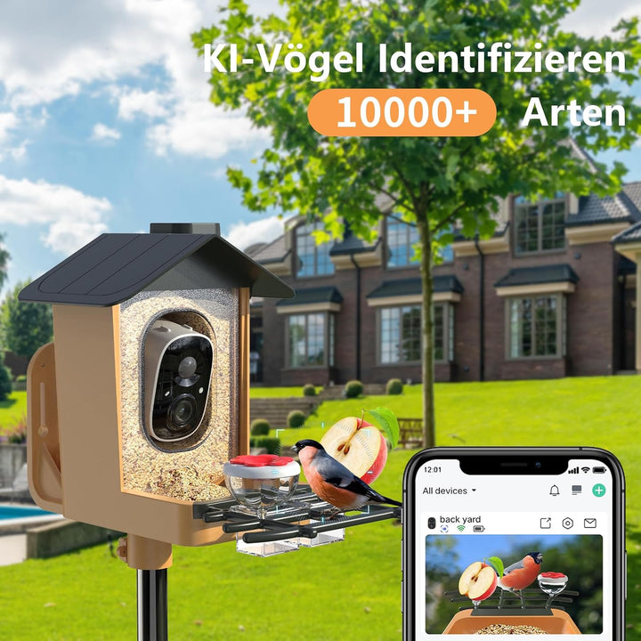 Vogelfutterhaus mit Kamera 2K HD Vollfarbe Nachtsicht KI Vogelerkennung Sofortiger Benachrichtigung