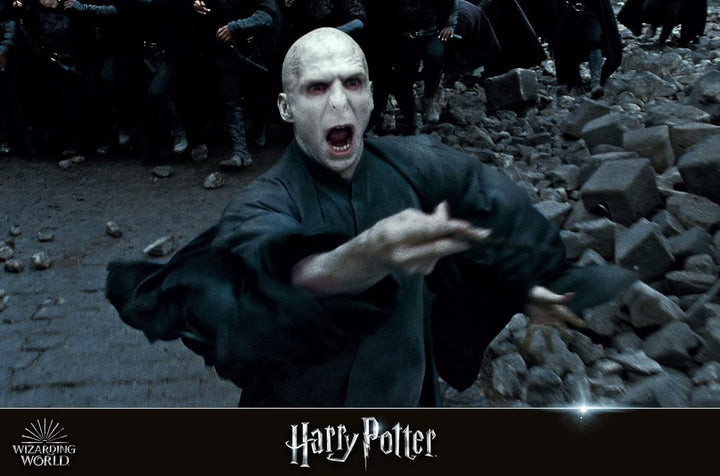 Wizarding World 10-Film Collection [Blu-ray], Blu-ray