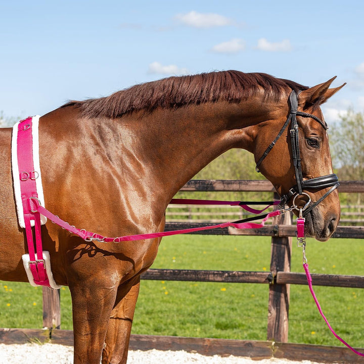 QHP Ontario Longiergurt Pony Fuchsia, Pony Fuchsia