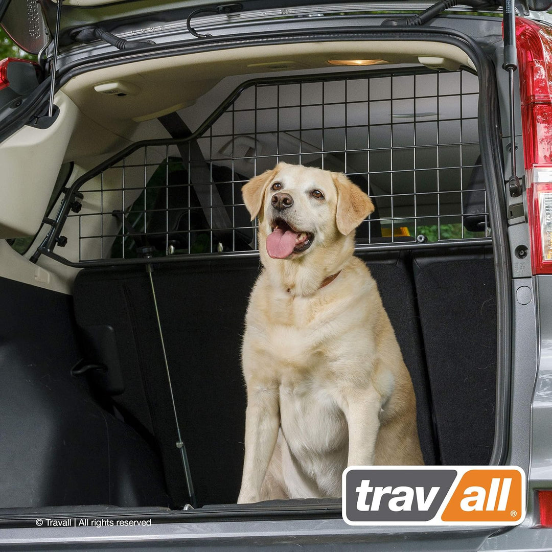 TRAVALL Hundegitter für Renault Espace (2015-2023) fahrzeugspezifisches Trenngitter Auto Kofferraum