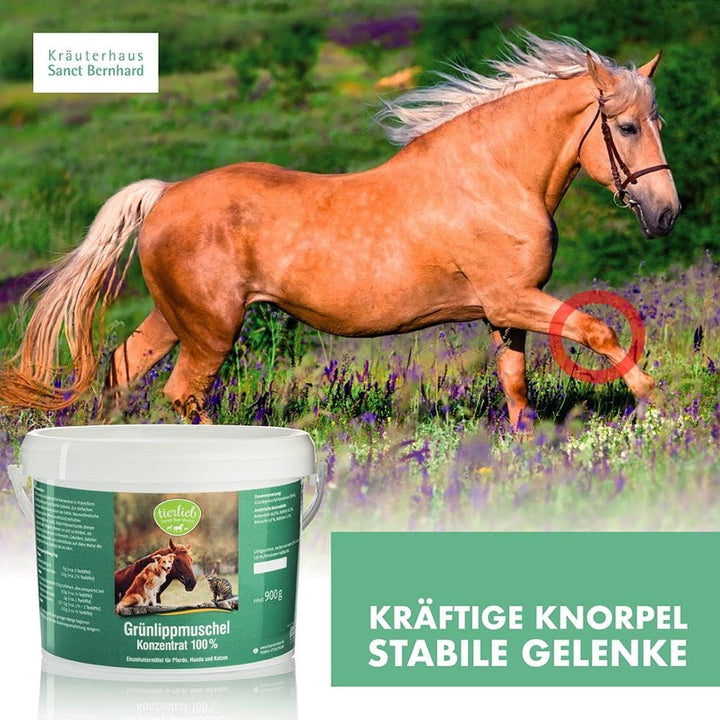 tierlieb Grünlippmuschel-Konzentrat 100% | Für Pferde, Hunde & Katzen | 900 Gramm