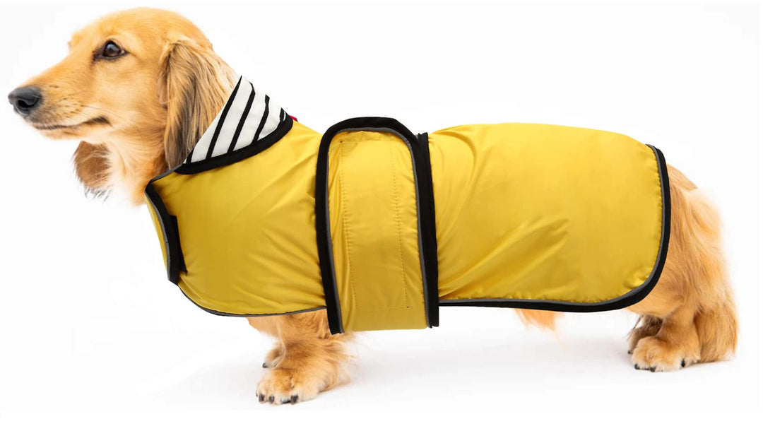 Geyecete Hunde Regenmantel,Einstellbar Wasserdicht Hundejacke für Dackel,Regenmantel mit reflektiere