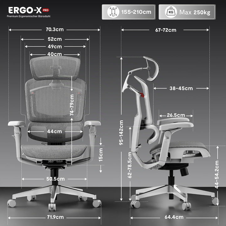 FLEXISPOT ErgoX Pro Ergonomischer Bürostuhl mit 12-stufiger Höhenverstellung, Schreibtischstuhl mit