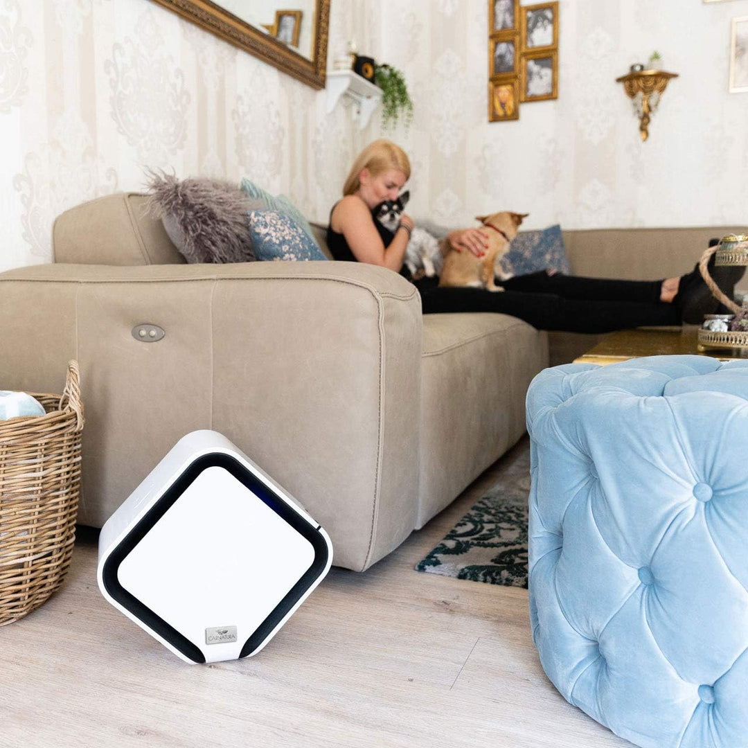 CARNATURA PURE Raumluftreiniger Plus – energieeffizienter 4-in-1 Luftreiniger mit Ionisierung, e2f-F