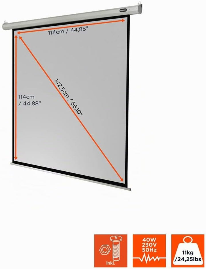 celexon Economy Motor-Leinwand 65" | 120x120 cm 1:1 | elektrische 4K,Full-HD Beamer-Leinwand für Bür