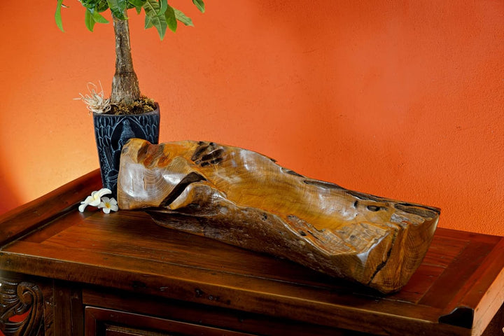 Kinaree Deko Schale Wurzelholz - Schale Teak Massivholz - 55-65cm Obst Schale