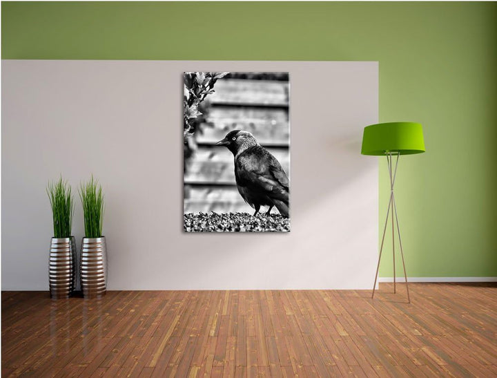 Pixxprint Vogel auf Gartenwiese / 100x70cm Leinwandbild bespannt auf Holzrahmen/Wandbild Kunstdruck