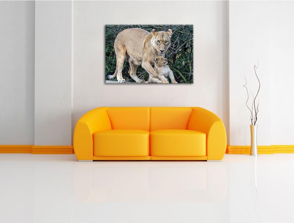 Pixxprint Löwin spielt mit Jungtier auf Leinwand, XXL riesige Bilder fertig gerahmt mit Keilrahmen,