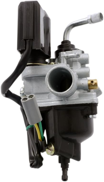 Vergaser 12mm PHVA PHVN inkl Choke für Gilera Ice 50