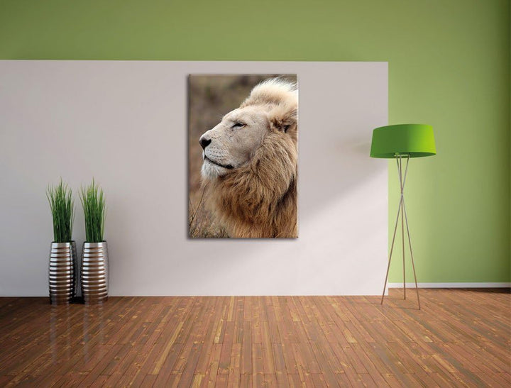 Weisser Löwe, Format: 80x120 auf hochkantiges Leinwand, XXL riesige Bilder fertig gerahmt mit Keilra